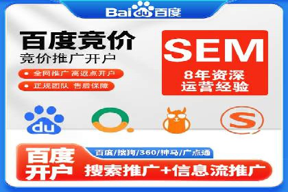 关键词竞价排名策略案例分析